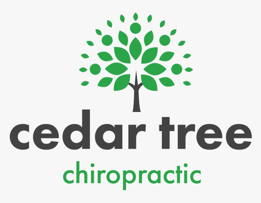 Cedar Tree Png, Transparent Png