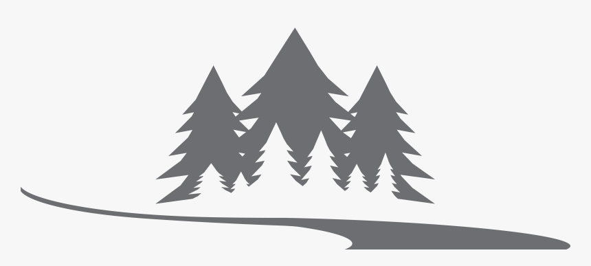 Christmas Tree, HD Png Download