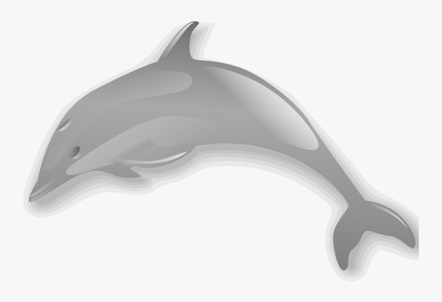 Dolphin Enrique Meza C 02 Clip Art Download - Dolphin, HD Png Download