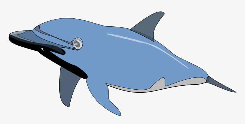 Dolphin Fish Cartoon Png Clipart , Png Download - Dolphin Clip Art, Transparent Png