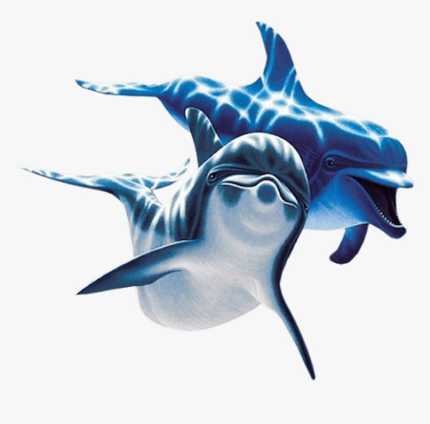 Dolphin Clipart Dolfin - Dolphin Png, Transparent Png