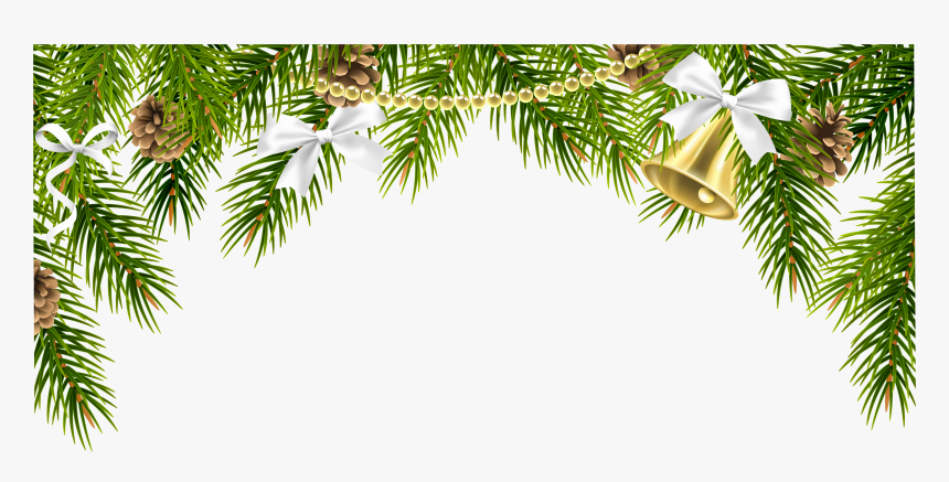 Christmas Pine Png, Transparent Png