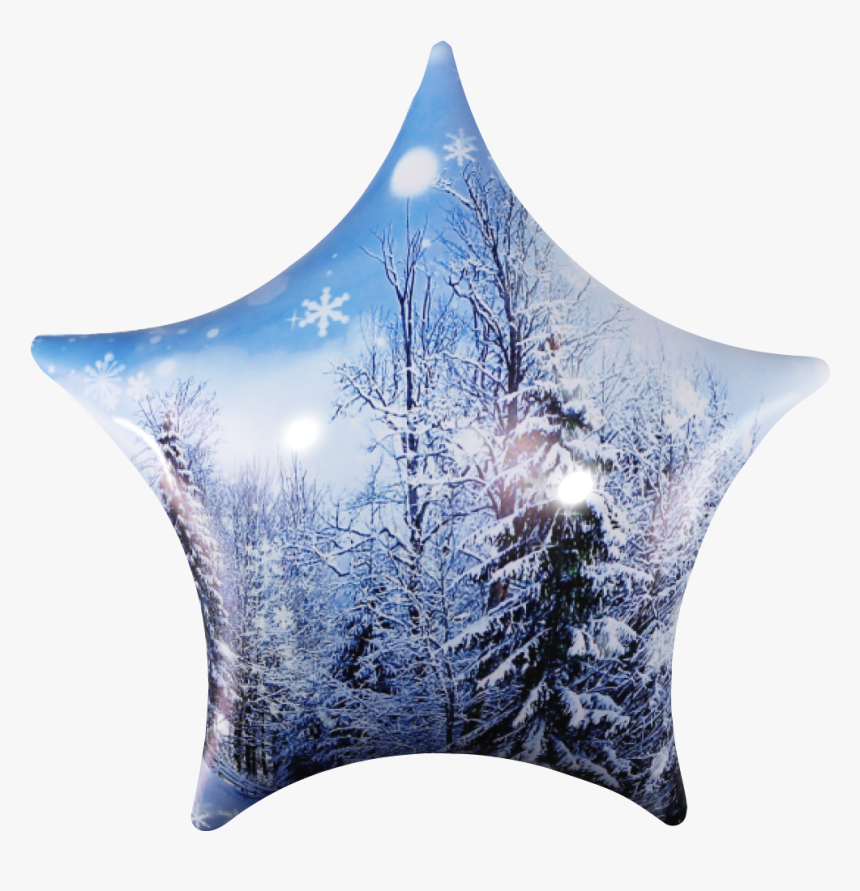 Fish, HD Png Download