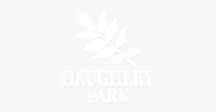 Sudeley Castle Spectacle Of Light - Johns Hopkins Logo White, HD Png Download