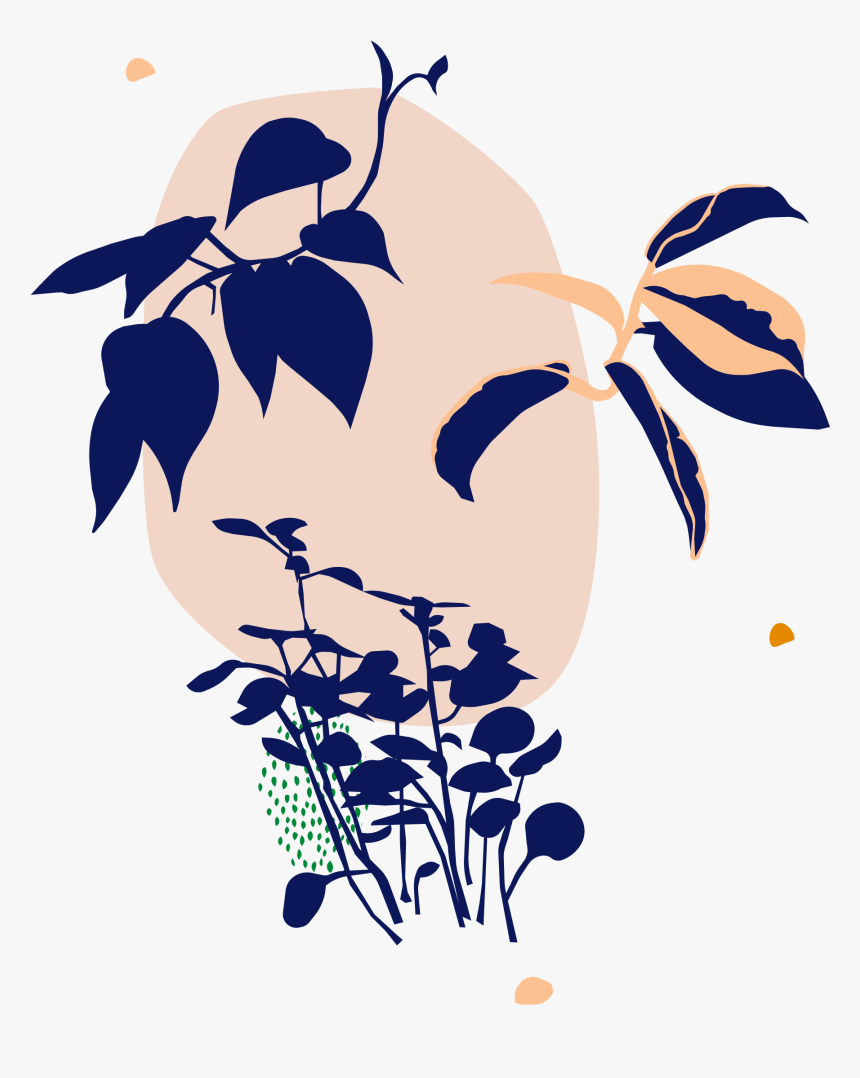 Illustration, HD Png Download