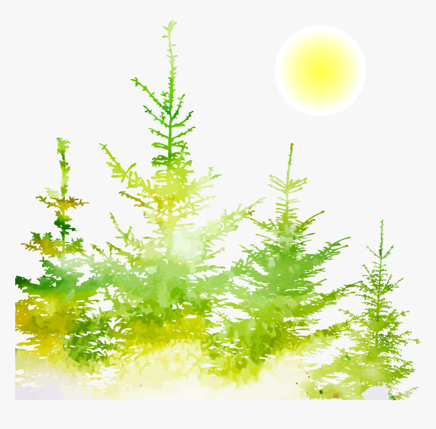 Kids Dental Group, Hanover, Ca, - Christmas Tree, HD Png Download