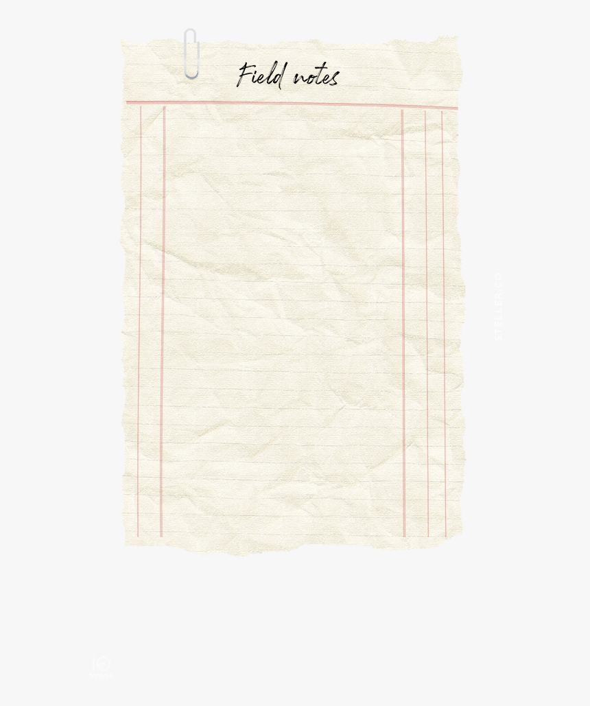 Document, HD Png Download