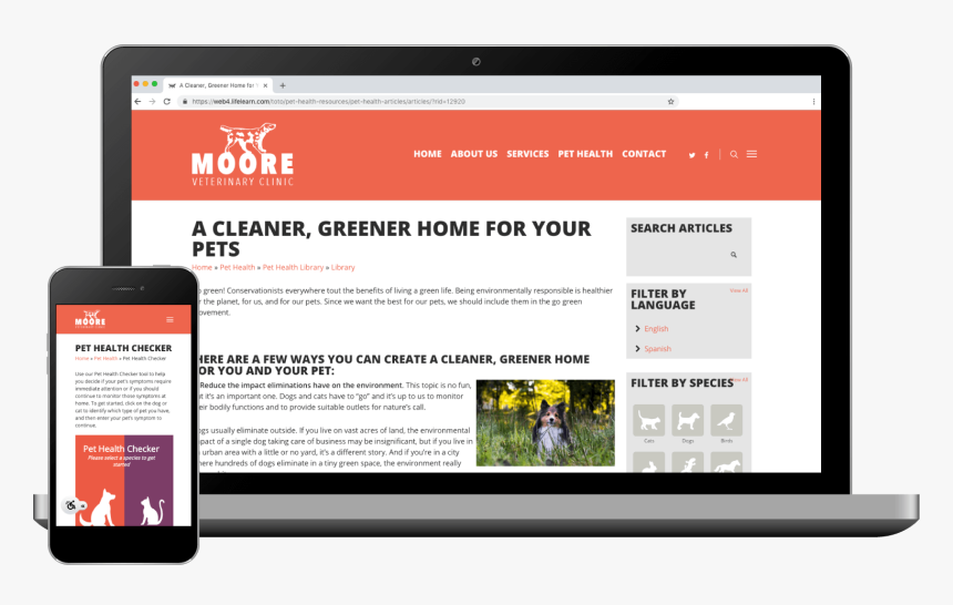 Web Page, HD Png Download