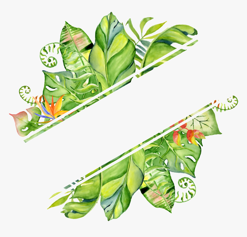 Pintado A Mano En Png Transparente Png Rendering Hojas, Png Download