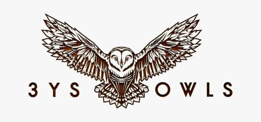 3ys Owls Brandmark Identity Web App Owl Design Website - Owl, HD Png Download