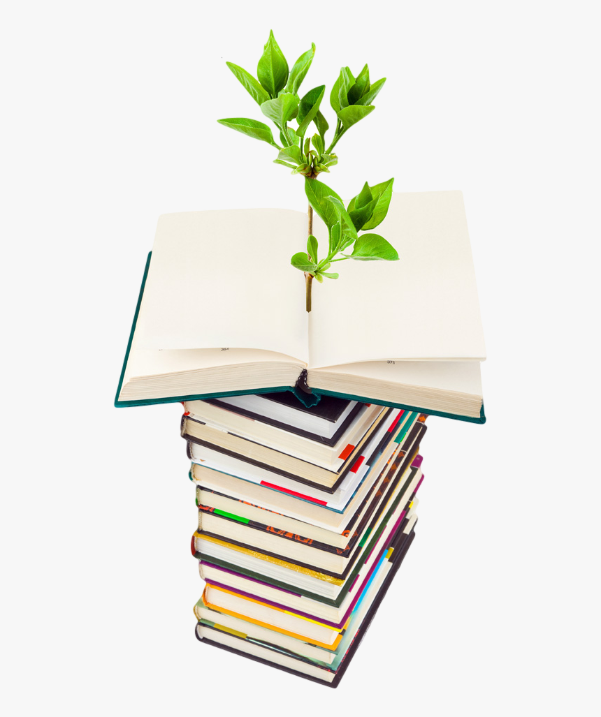 Photo Of Plant Growing From A Stack Of Books - Go Green Light Bulb, HD Png Download