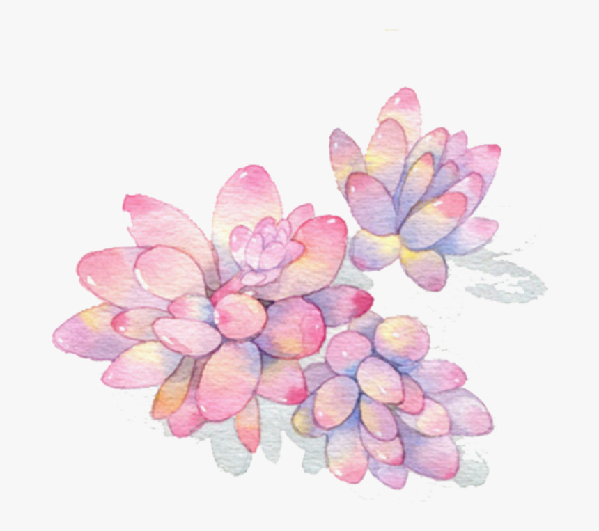 Ftestickers Watercolor Plants Succulents - Watercolor Succulent Logo Png Transparent, Png Download