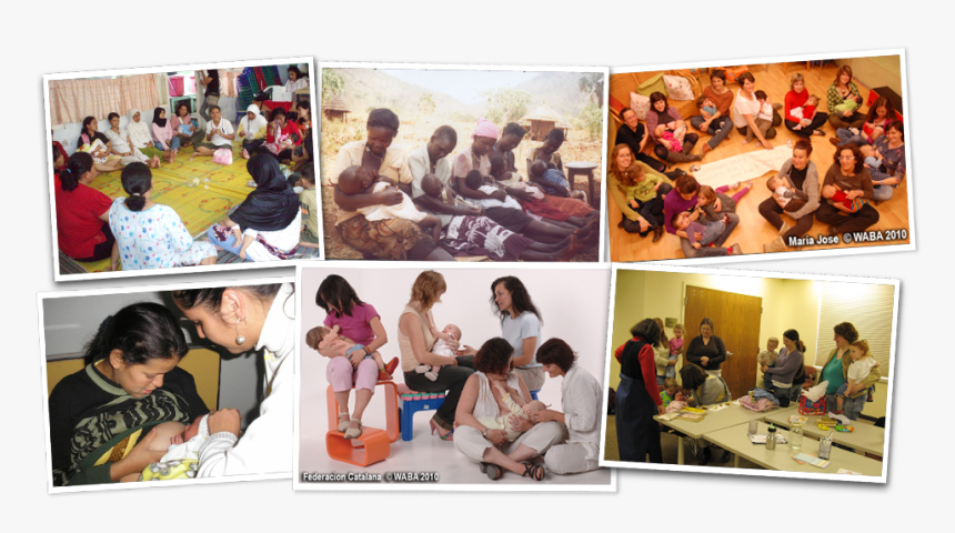 Collage, HD Png Download