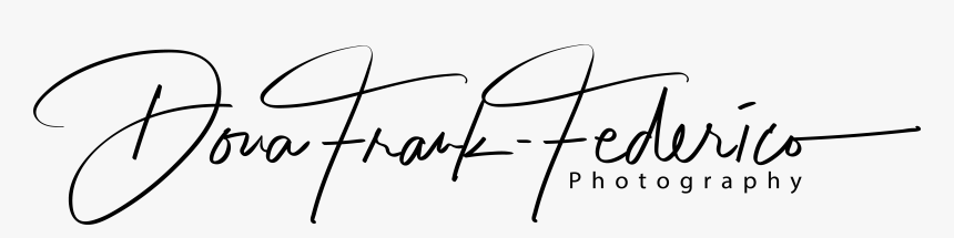 Dona Frank Federico Photography - Line Art, HD Png Download