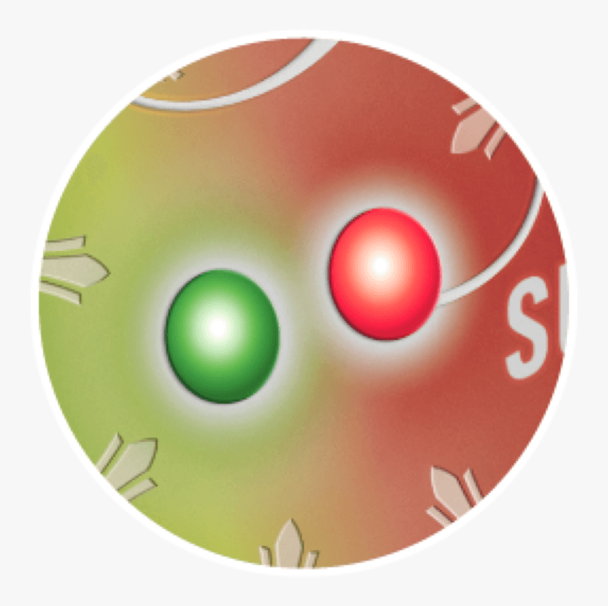 Capsula-summer - Circle, HD Png Download