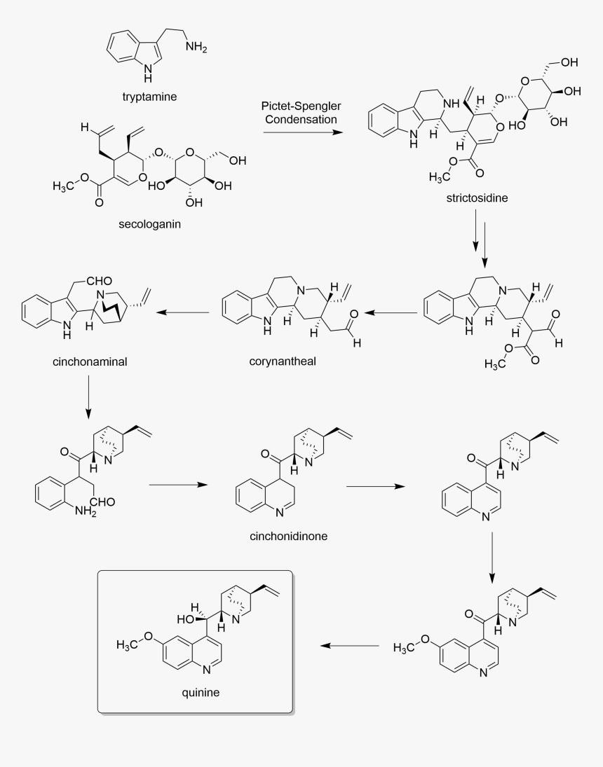 Diagram, HD Png Download
