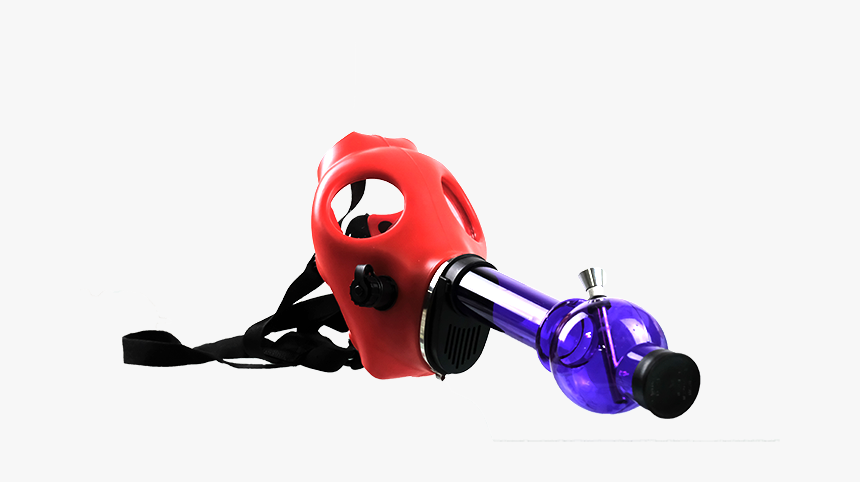 Insect, HD Png Download