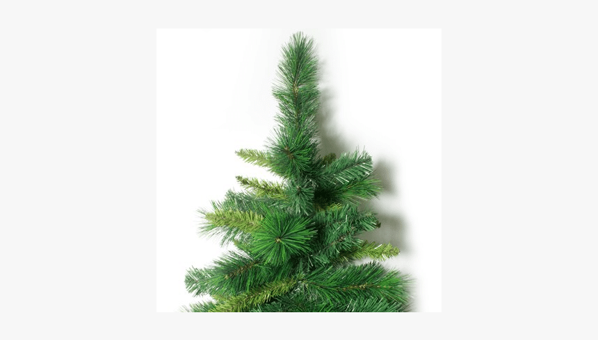 Christmas Tree, HD Png Download