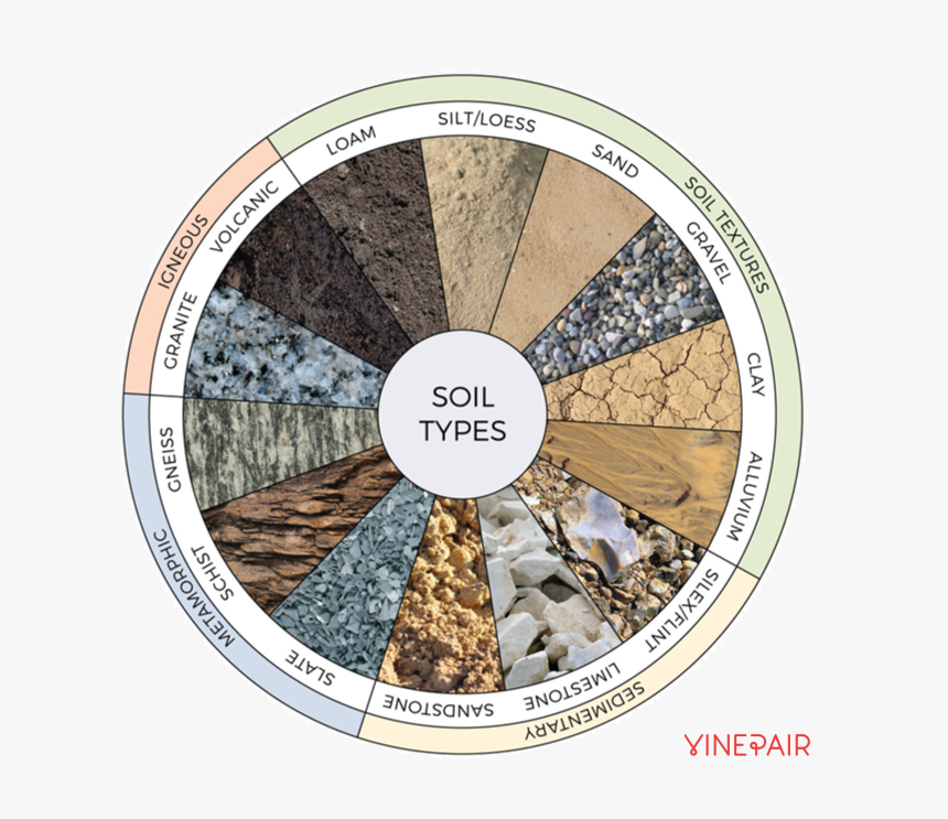 14 Wine Soil Types To Know, HD Png Download