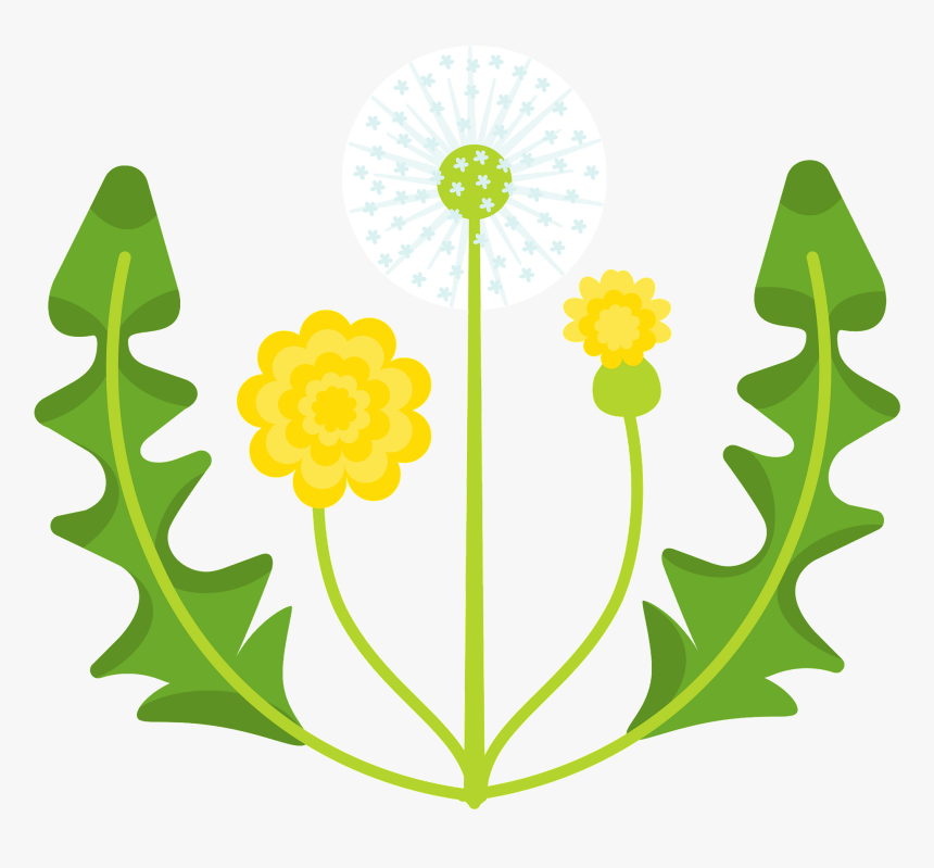 Clip Art, HD Png Download