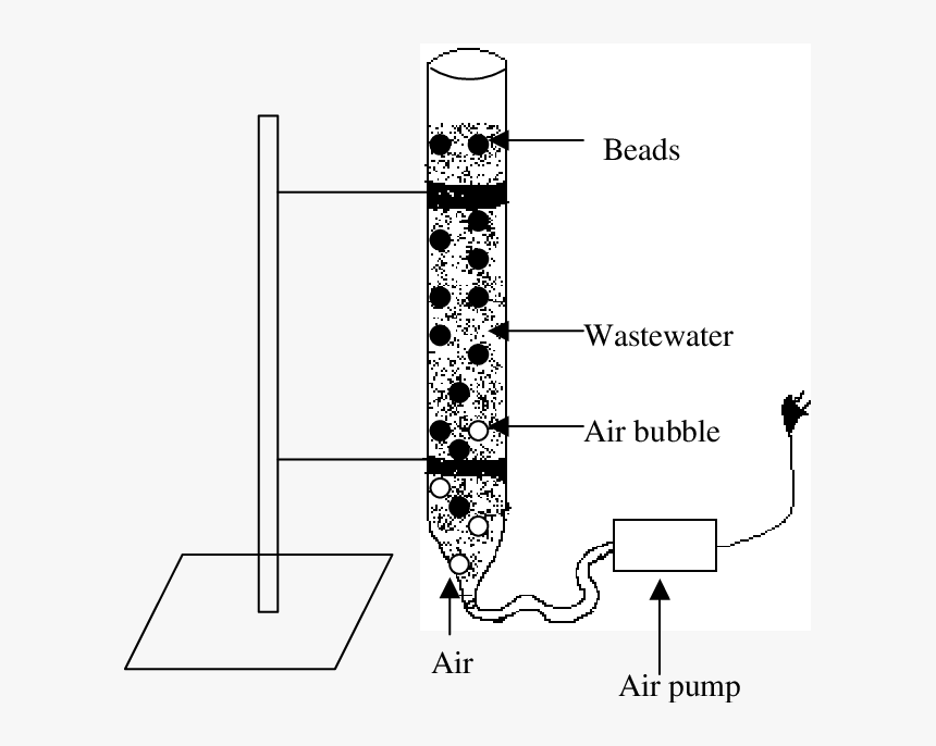 Diagram, HD Png Download