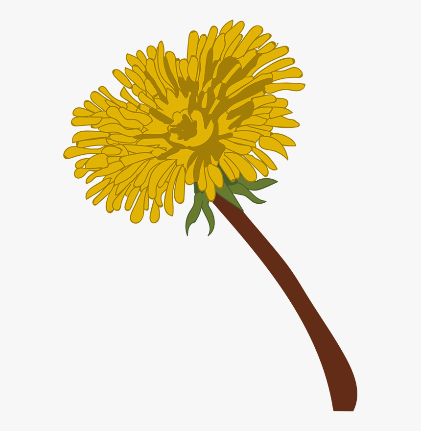Large Flower - Dandelion, HD Png Download