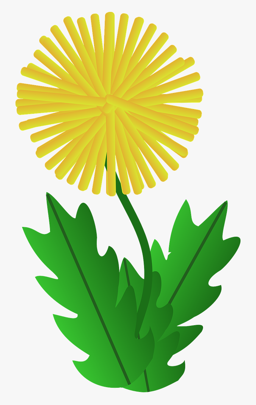 Dandelion Clipart , Png Download - Dandelion Clipart, Transparent Png