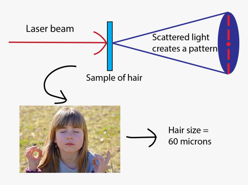 Supporting Image - Measure The Width Of A Hair, HD Png Download