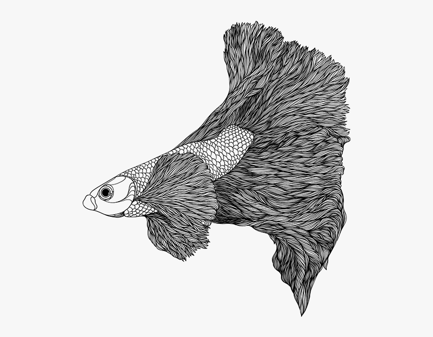 Porco Espinho Desenho Pequeno Hd Png Download Transparent Png Image Pngitem