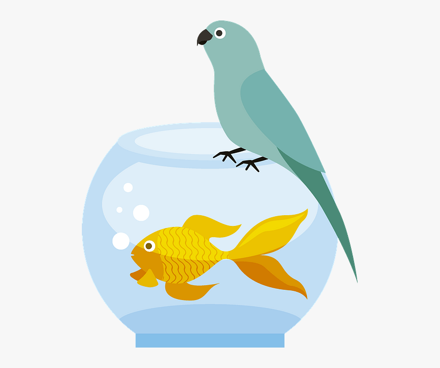 Goldfish, HD Png Download