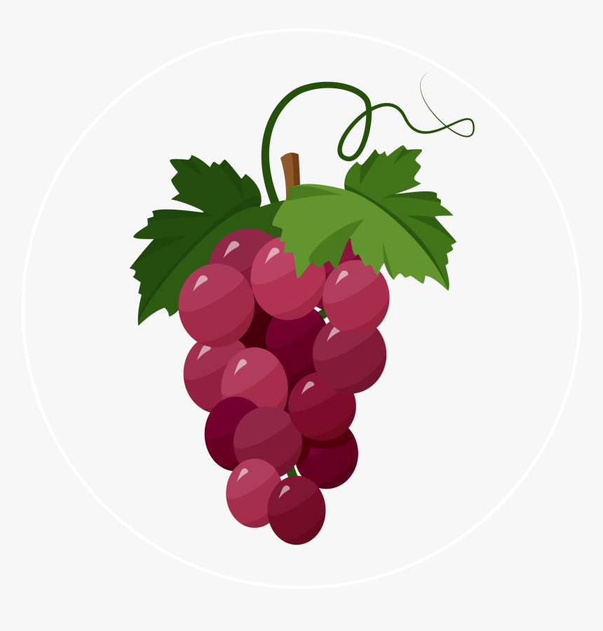 Grapes-icon - Grapes Illustration, HD Png Download