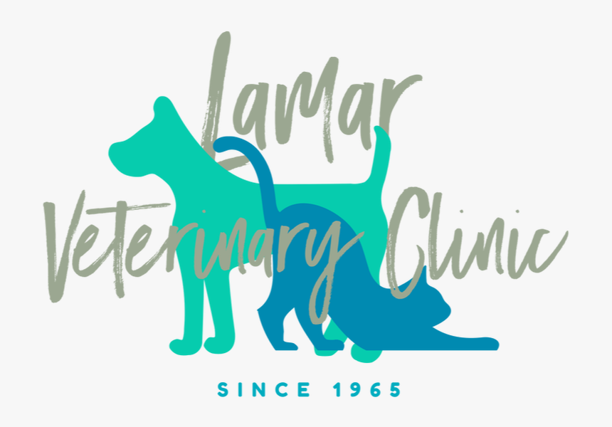 Picture - Puppy, HD Png Download