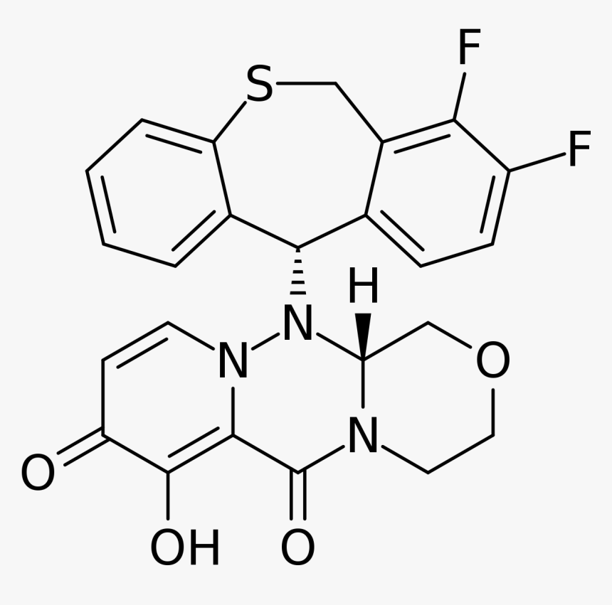 Quercetin 3 Methyl Ether, HD Png Download