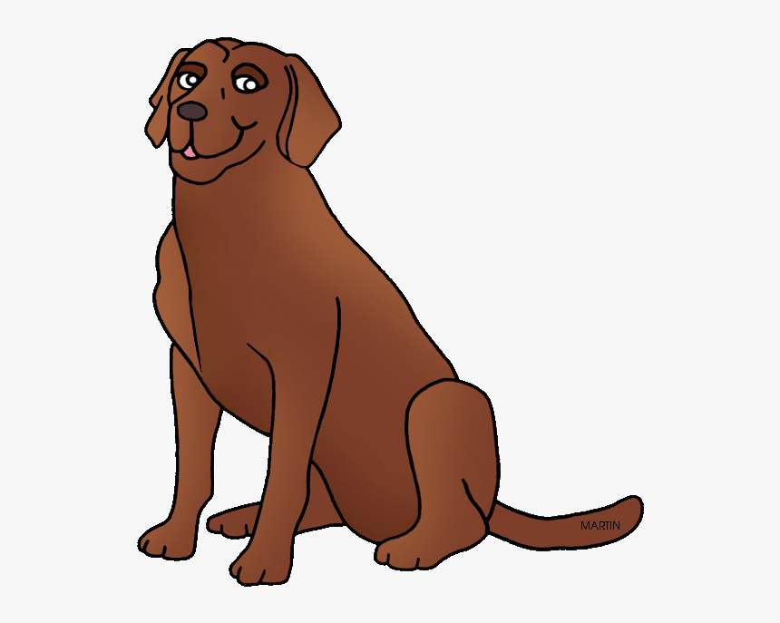chesapeake chocolate lab