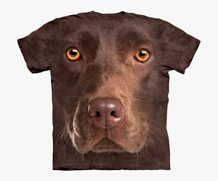 Chocolate Labrador T Shirt, HD Png Download