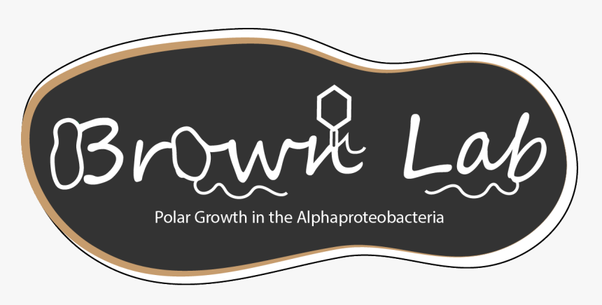 Calligraphy, HD Png Download