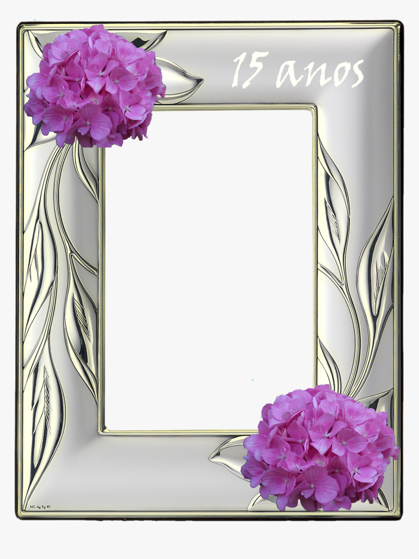 Fondos Para Fotos De Quince Años - Marco Para Foto Quince Años, HD Png Download