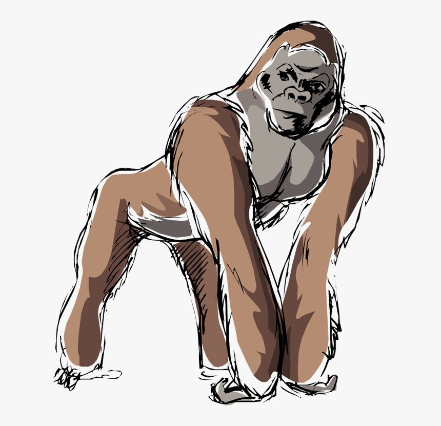 Gorilla, HD Png Download
