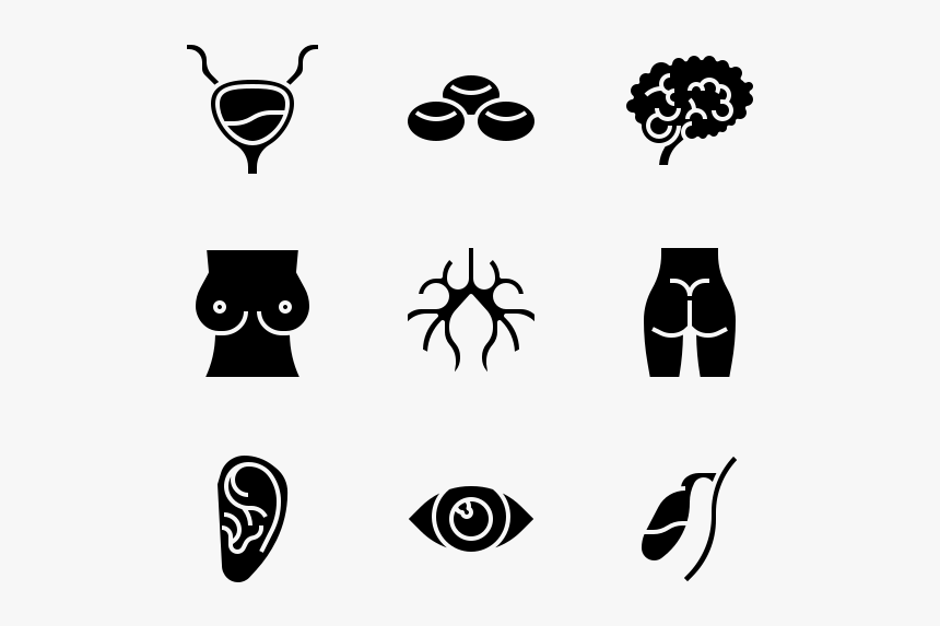 Clip Art, HD Png Download