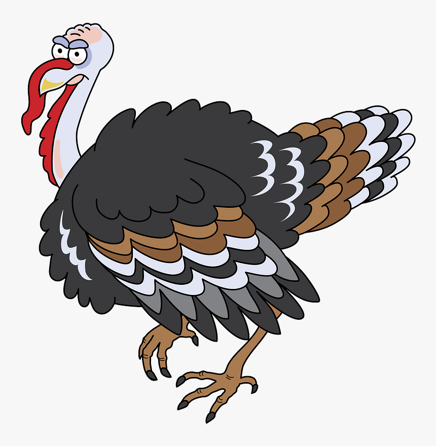 Turkey, HD Png Download