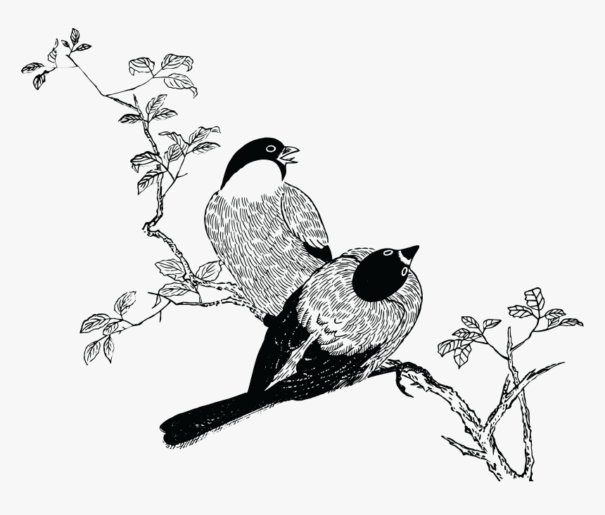 Free Clipart Of A Pair Of Birds - Born This Year 1979, HD Png Download