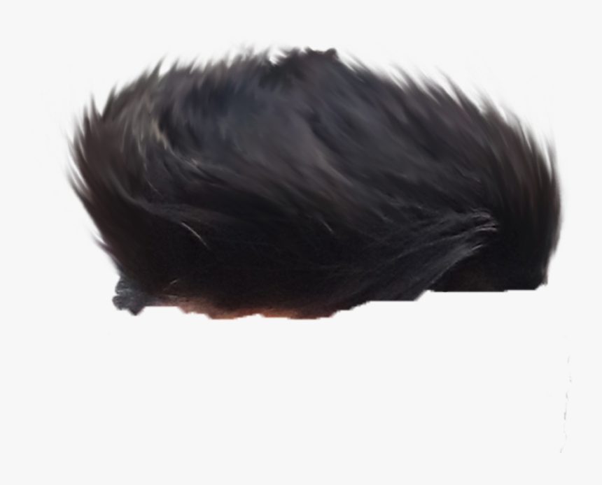 Editing Picsart Hair Png, Transparent Png