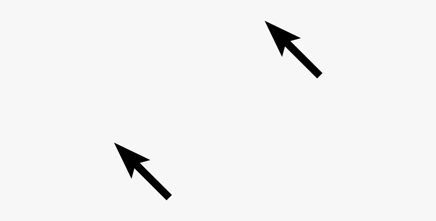 Crane, HD Png Download