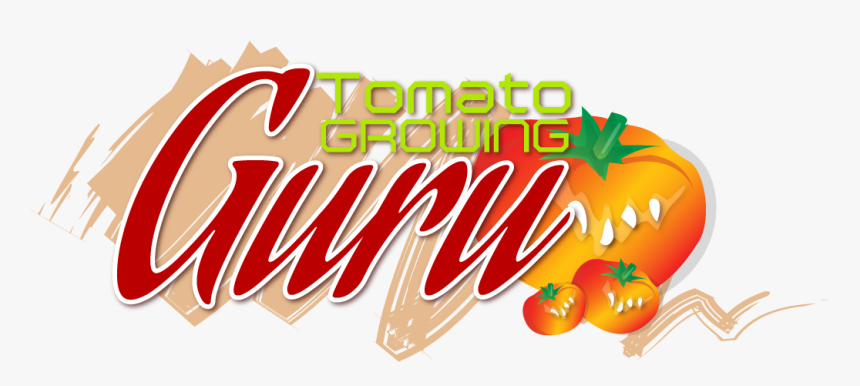 Tomato Growing Guru , Png Download, Transparent Png