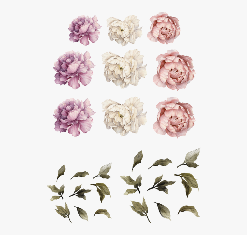 Large Peony Wall Decal, HD Png Download