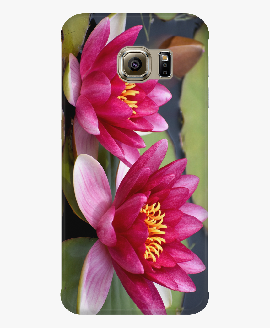 Mobile Phone Case, HD Png Download