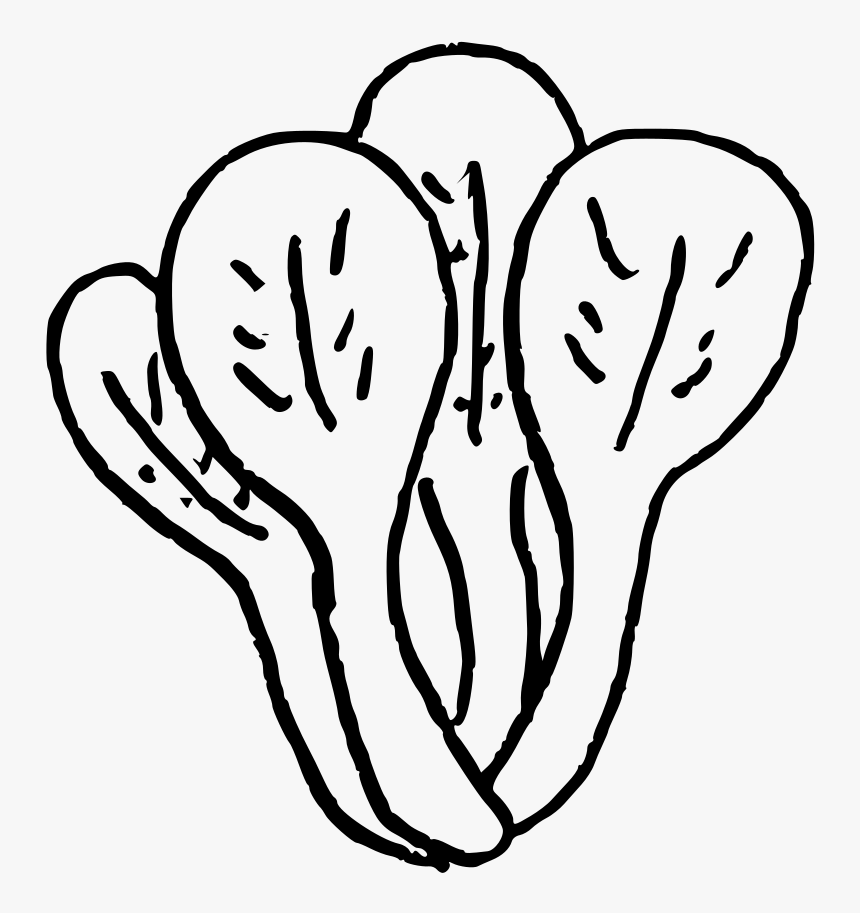 Doodle-bokchoy - Line Art, HD Png Download