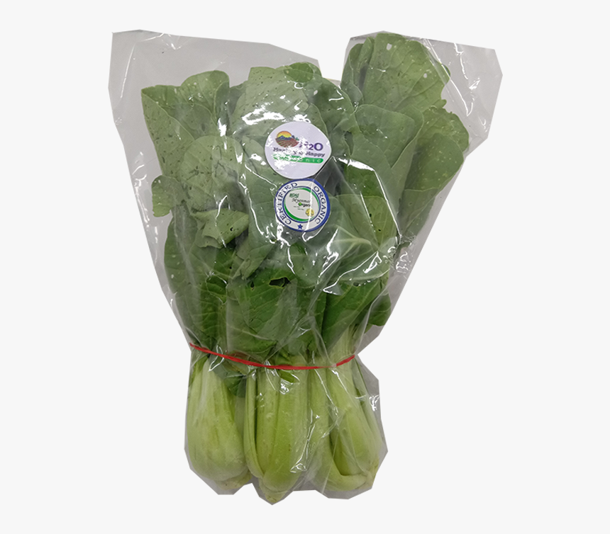 Chard, HD Png Download
