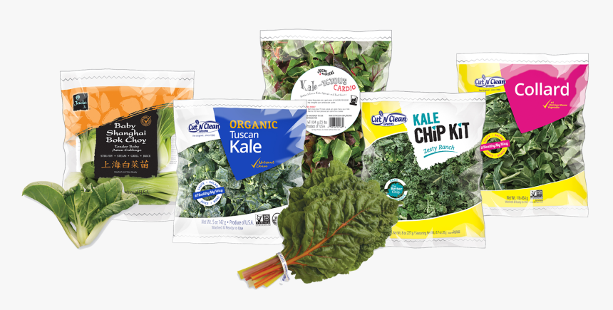 Christmas Tree, HD Png Download