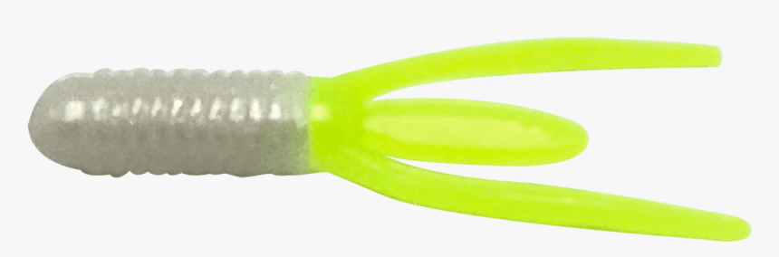 1 ¾” Stump Bugs - Compact Fluorescent Lamp, HD Png Download